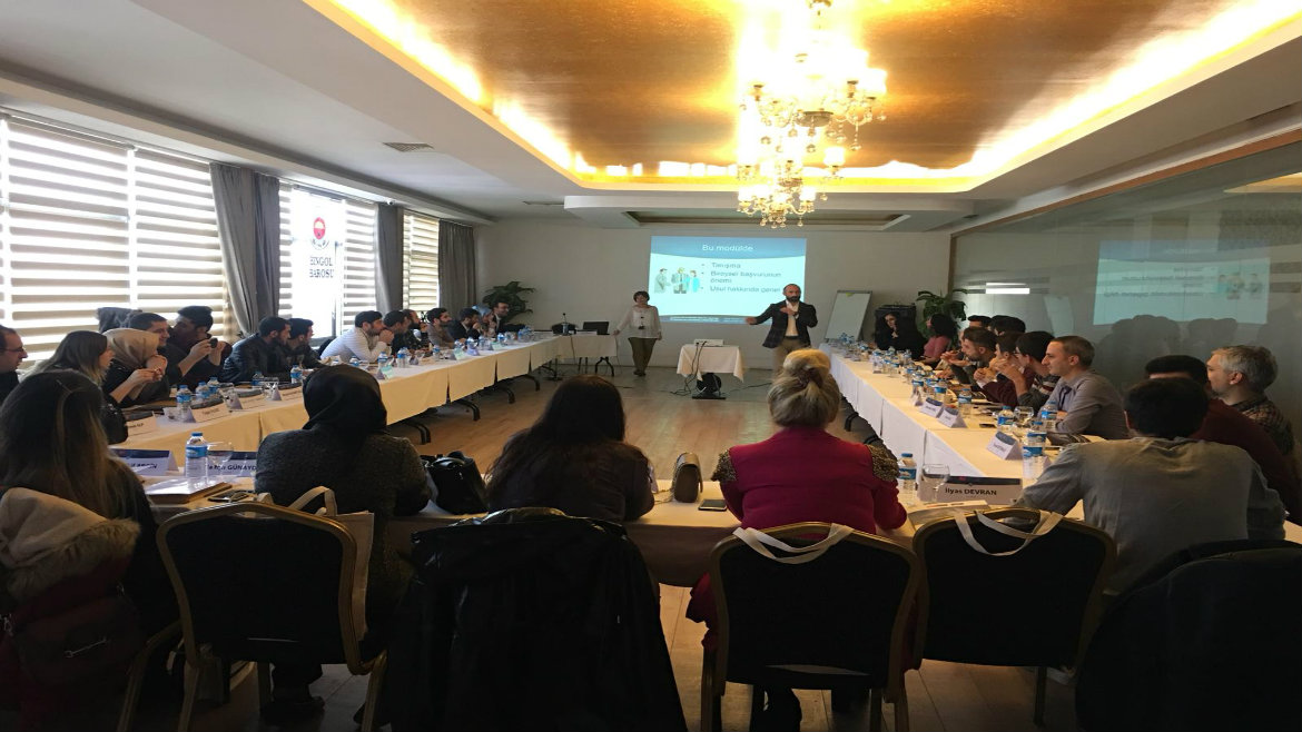 In-service Training Seminar on Individual Application Procedure for Lawyers in Muş and Bingöl