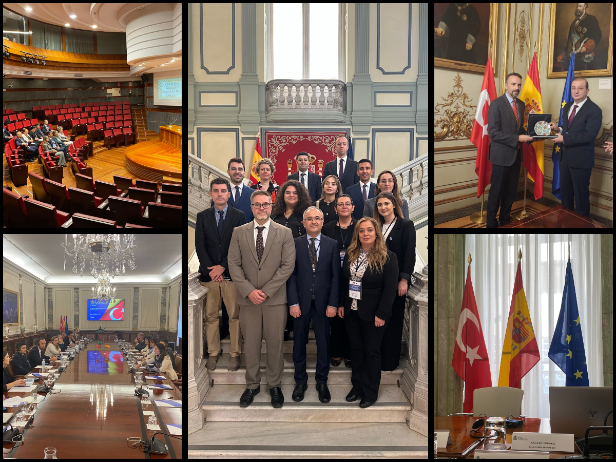 Study Visit Organised in Madrid, Spain on International Judicial Cooperation in Criminal Matters