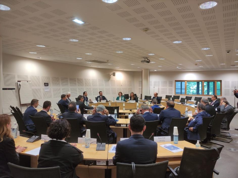 Study Visit of the Turkish Constitutional Court to Strasbourg was held on 23-24th June 2022