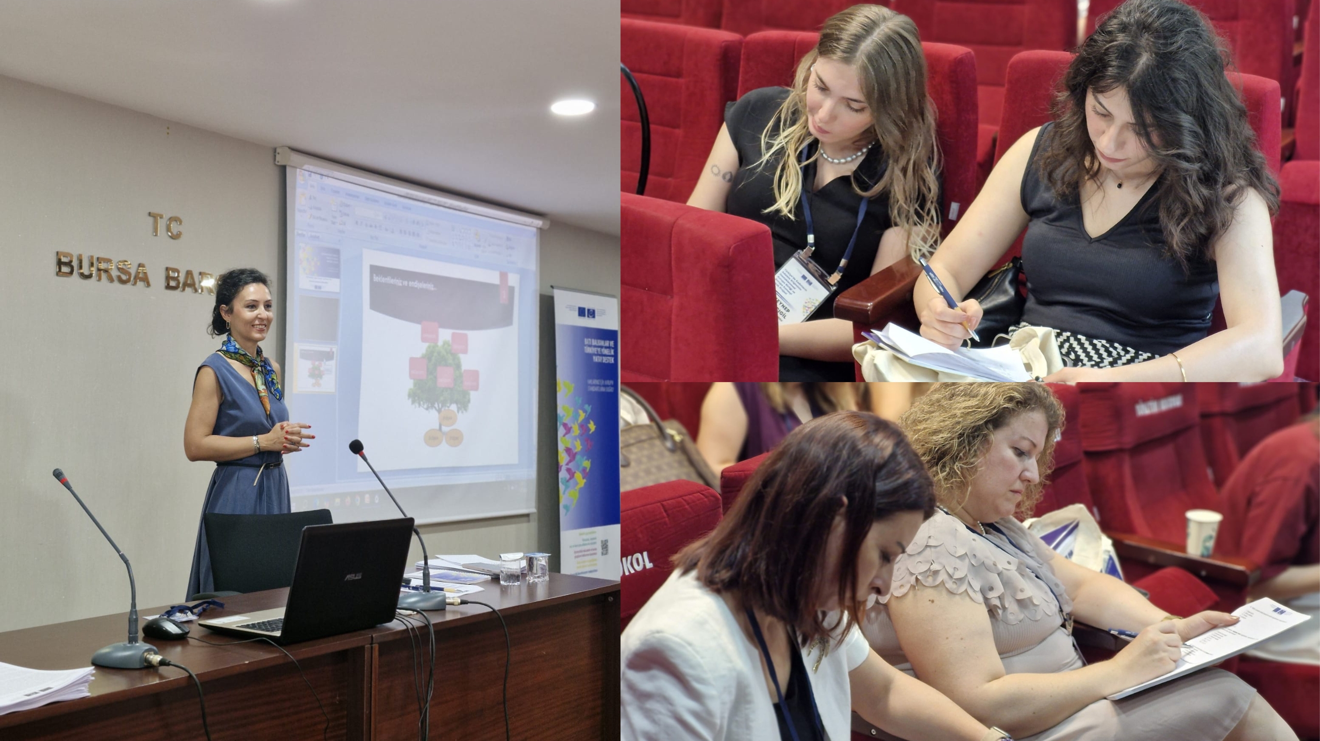 Advancing women’s rights protection in Türkiye through strategic litigation training