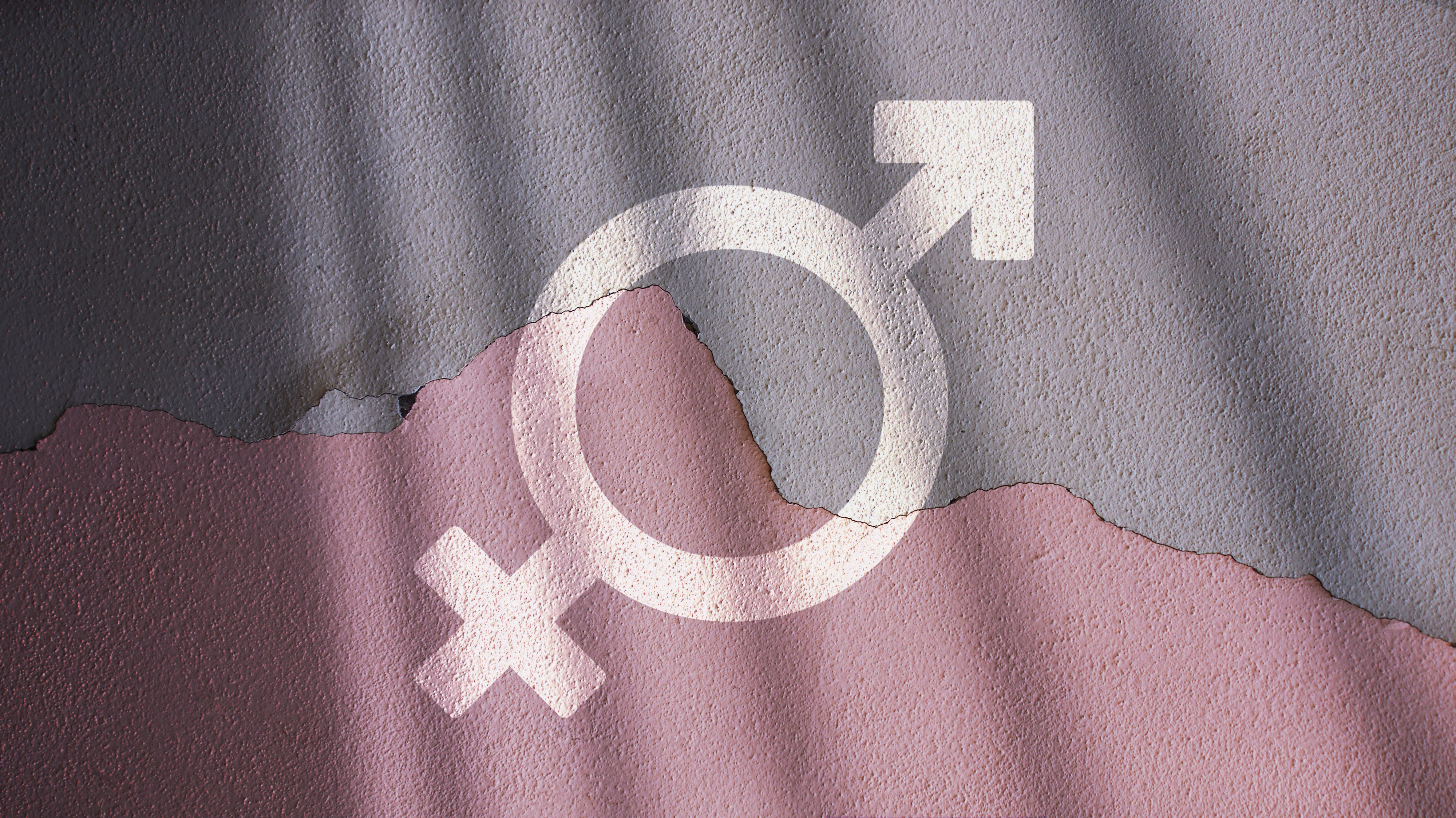 Gender analysis in earthquake areas now available online