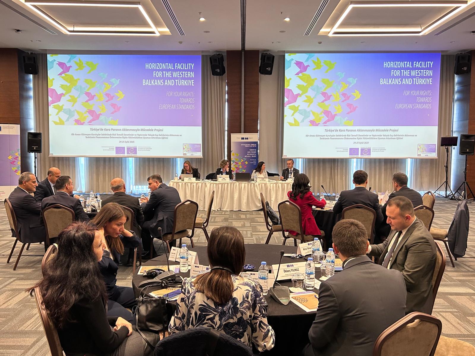 Strengthening Risk-Based Audits and Sanctioning in the Non-Profit Organisation Sector
