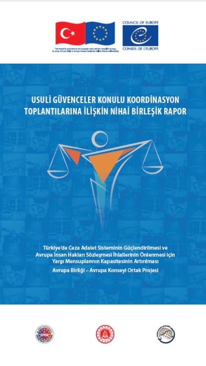 Final Consolidated Report on Coordination Meetings on Procedural Safeguards