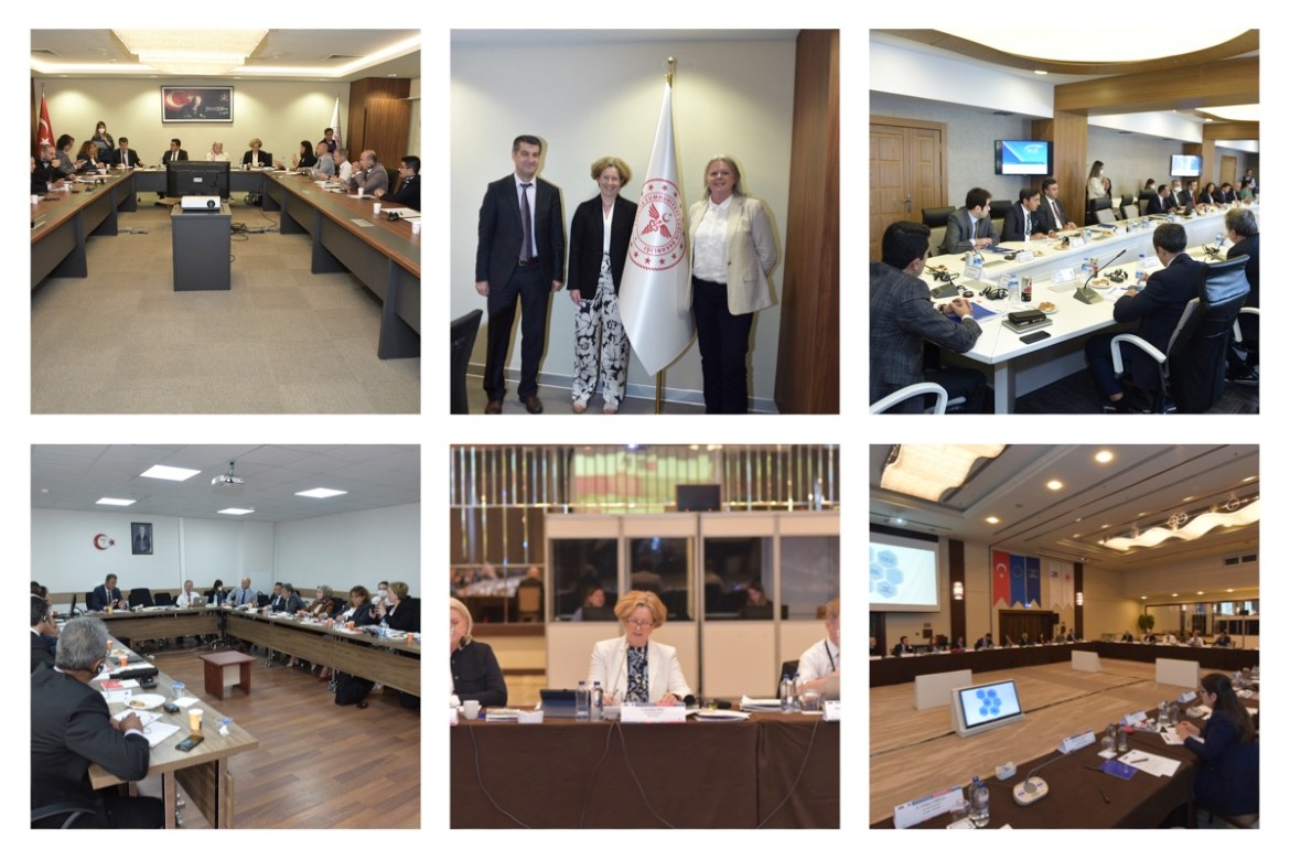 Consultation Meetings and Workshop on Internal Review by Administrative Authorities