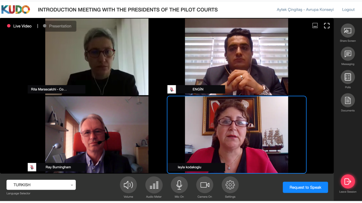 First online international meeting with six pilot courts held!