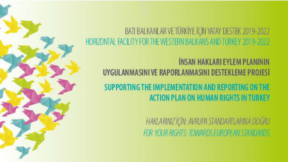 Supporting the Implementation and Reporting on the Action Plan on Human Rights in Turkey