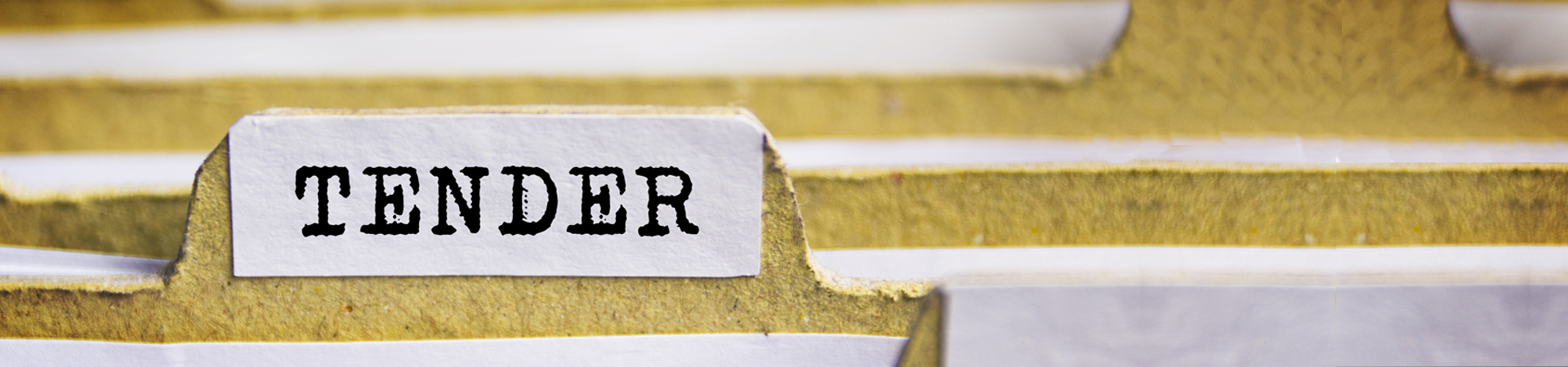 Call for Tender for the purchase of services on conducting endline survey for monitoring conciliation, mediation mechanism in the framework of the Project on “Promoting Alternative Dispute Resolution (ADR) in Turkey”