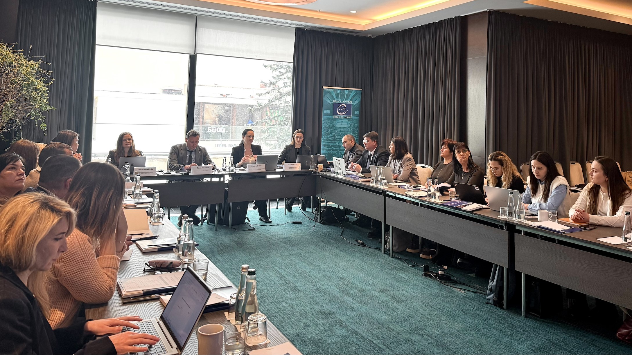 Progress and priorities discussed at the Steering Committee meeting of the Council of Europe Project supporting the Ombudsperson’s Office