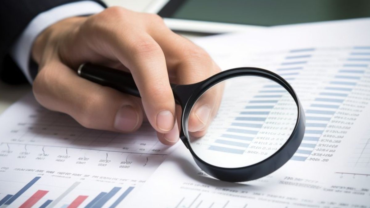 Proceduri noi pentru auditori în procesul de verificare a gestiunii financiare a partidelor politice