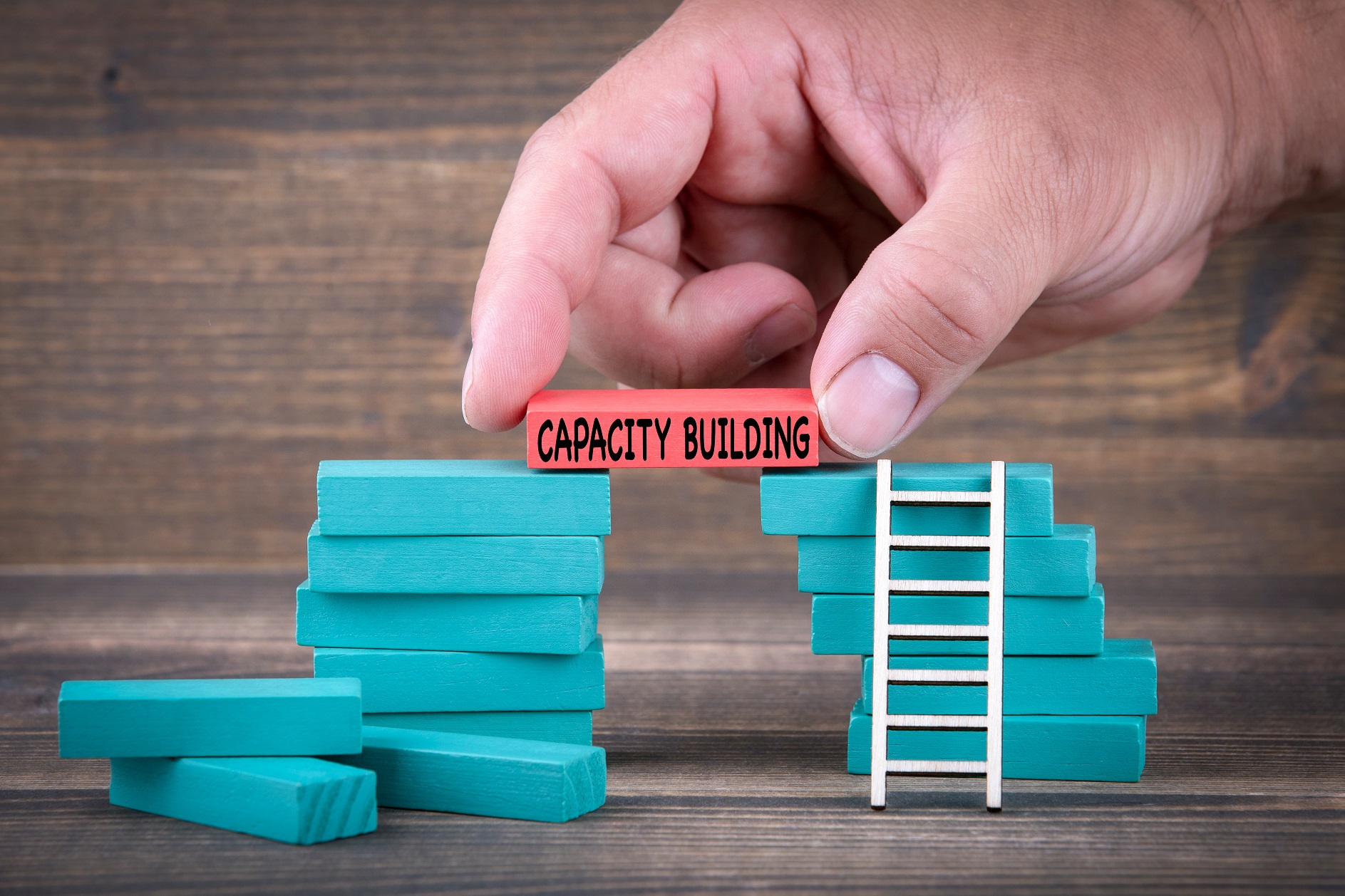 Capacity-building of professionals