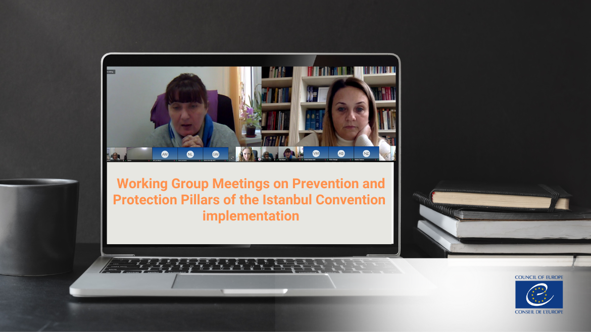 Reuniunile grupurilor de lucru privind implementarea pilonilor de prevenire și protecție ai Convenției de la Istanbul