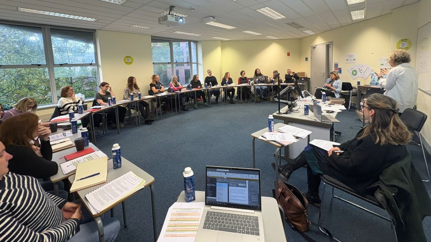 Advanced trauma-informed care training on child sexual abuse cases for professionals working in Barnahus in Ireland