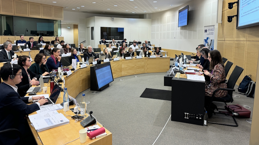 Key outcomes from the 10th plenary meeting of the Steering Committee for the rights of the child