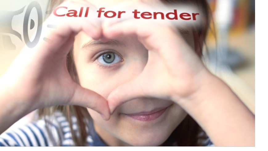 Tender call for the provision of international consultancy services for co-operation projects and activities of the CDENF and the Lanzarote Committee