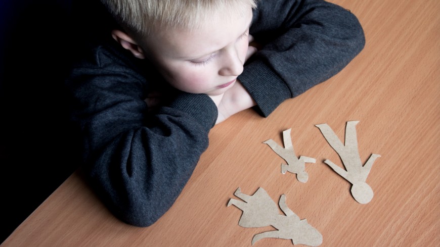 In focus: Protecting the rights of the child and their best interests in situations of parental separation and in care proceedings