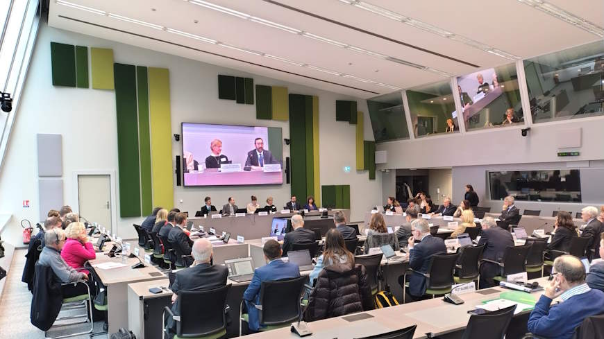 Le CCJE tient sa 25e réunion plénière et adopte un Avis sur la responsabilité disciplinaire des juges