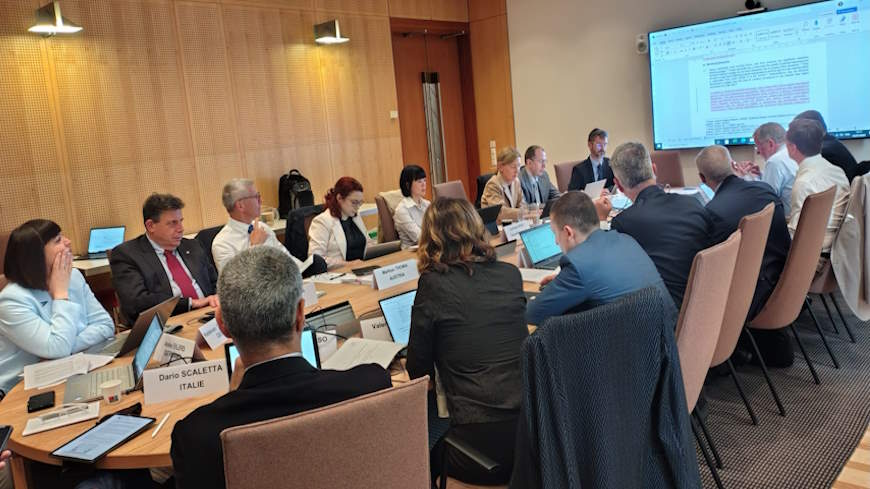 The Working Group examines draft Opinion on the importance of judicial well-being for the delivery of justice