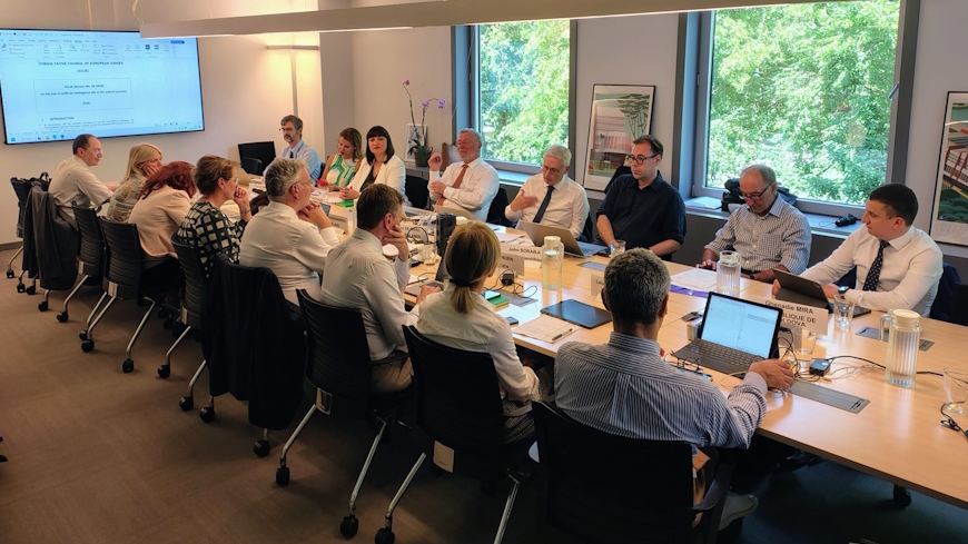 Second meeting of the Working Group to draft the CCJE Opinion on the use of artificial intelligence (AI) in the judicial process