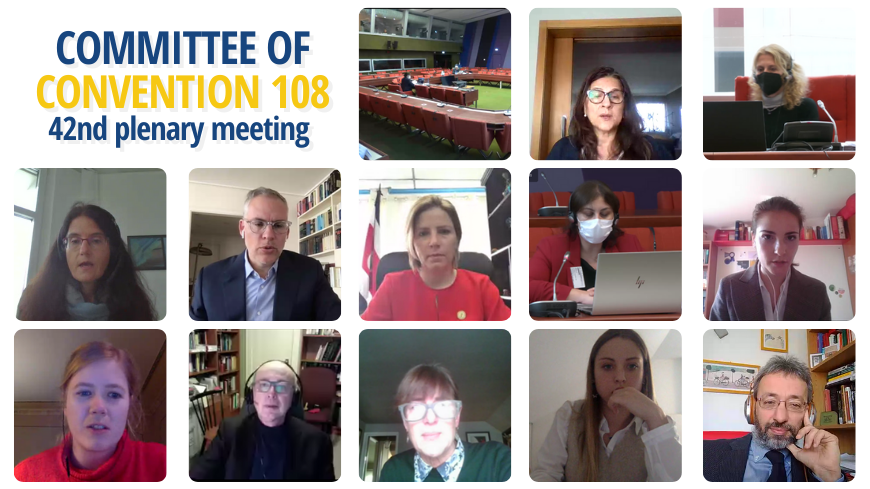 42nd Plenary Meeting of the Committee of Convention 108