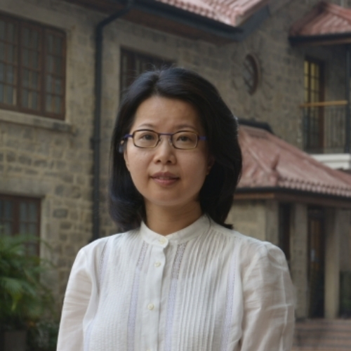 Anne Cheung (Professor, Faculty of Law, the University of Hong Kong)