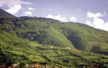 Hills, South of the City